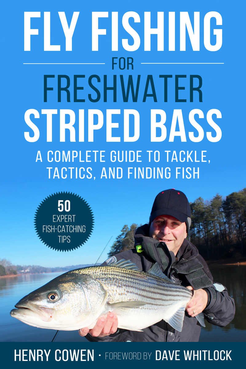 Angler holding a Lake Lanier striped bass caught on the fly
